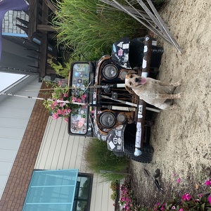 Fundraising Page: Samantha Simonsen